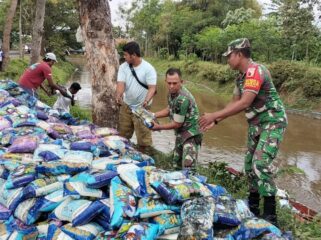 Truk bermuatan beras tercebur ke dalam Sungai Bondoyudo, Desa Kaliboto Kidul, Kecamatan Jatiroto, Kabupaten Lumajang (Foto: Asmadi).