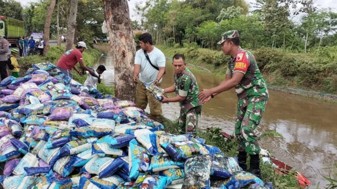 
					Truk bermuatan beras tercebur ke dalam Sungai Bondoyudo, Desa Kaliboto Kidul, Kecamatan Jatiroto, Kabupaten Lumajang (Foto: Asmadi).