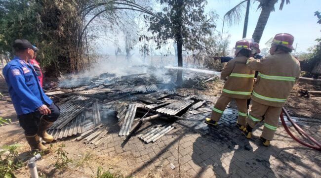 PEMBASAHAN: Petugas Damkar Kota Probolinggo sedang memadamkan api yang membakar warung milik Mistar. (Foto: Hafiz Rozani).