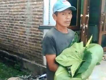 TAK TERTOLONG: Warga menggendong jasad bayi laki-laki yang di temukan hanyut di Sungai Bedadung Jember, dibungkus daun talas. (Foto: Istimewa).
