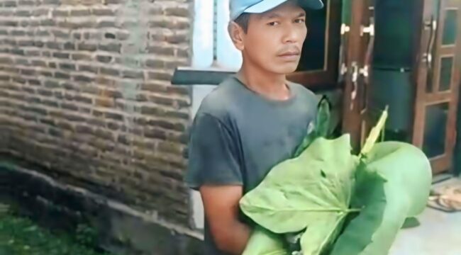 TAK TERTOLONG: Warga menggendong jasad bayi laki-laki yang di temukan hanyut di Sungai Bedadung Jember, dibungkus daun talas. (Foto: Istimewa).
