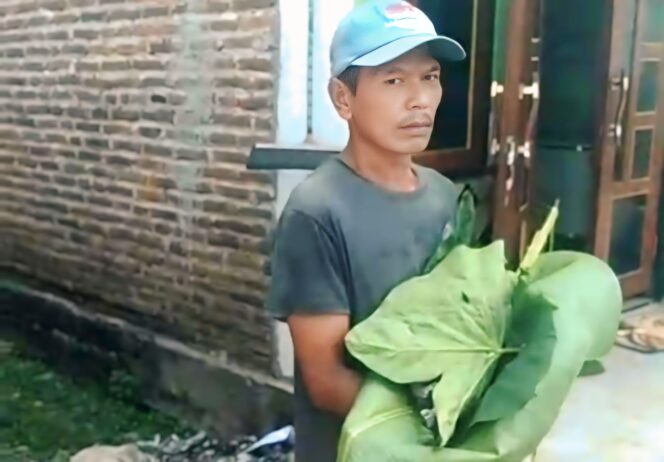 
					TAK TERTOLONG: Warga menggendong jasad bayi laki-laki yang di temukan hanyut di Sungai Bedadung Jember, dibungkus daun talas. (Foto: Istimewa).
