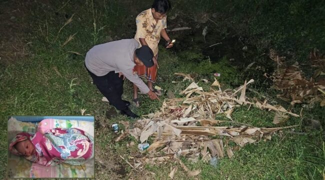 PERIKSA: Polisi ditemani warga memeriksa lokasi temuan bayi di Desa Gunung Gangsir, Kec. Beji, Kab. Pasuruan. Insert: Kondisi bayi usai dievakuasi dari lokasi. (foto: Moh. Rois).