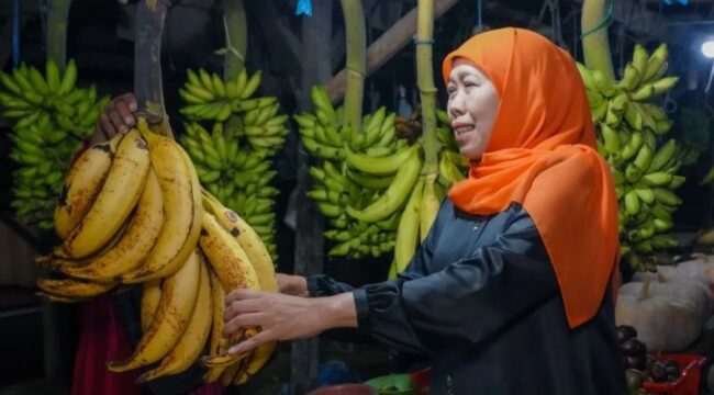 Gubernur Jawa Timur, Khofifah Indar Parawansa, kembali menunjukkan kepeduliannya terhadap masyarakat kecil saat berkunjung ke Pasar Buah Ranuyoso (Istimewa).