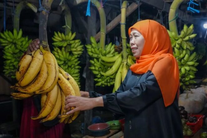 
					Gubernur Jawa Timur, Khofifah Indar Parawansa, kembali menunjukkan kepeduliannya terhadap masyarakat kecil saat berkunjung ke Pasar Buah Ranuyoso (Istimewa).