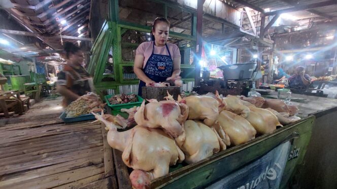 
					MAHAL: Penjual daging ayam potong di Pasar Baru Kota Probolinggo, Murdiana sedang memotong daging ayam jualannya. (foto: Hafiz Rozani).
