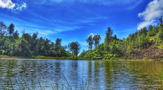Kawasan Ranu Pane Kabupaten Lumajang.