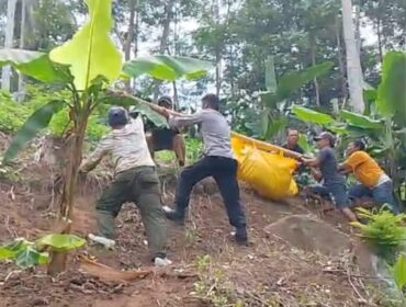 Seorang lansia bernama Sundriah, warga Dusun Dadapan, Desa Jambearum, Kecamatan Pasrujambe, ditemukan meninggal dunia.