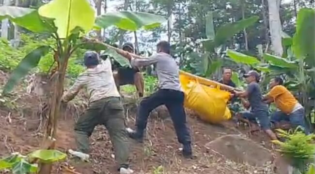 Seorang lansia bernama Sundriah, warga Dusun Dadapan, Desa Jambearum, Kecamatan Pasrujambe, ditemukan meninggal dunia.