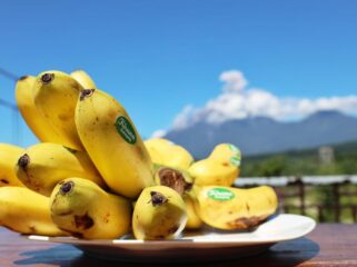 Mas Kirana, salah satu komoditas unggulan daerah ini, resmi ditetapkan sebagai produk One Country One Priority Product (OCOP).
