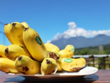Mas Kirana, salah satu komoditas unggulan daerah ini, resmi ditetapkan sebagai produk One Country One Priority Product (OCOP).
