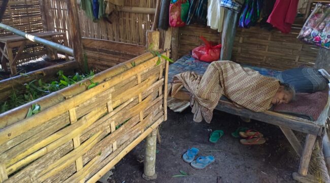 Nenek Arsina warga Desa Tanjung, Lumajang tinggal di kandang sapi. (Asmadi).