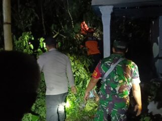 Sebuah pohon berukuran besar tumbang dan menimpa rumah warga di Dusun Kotokan, Desa Jatiroto, Kecamatan Jatiroto, Kabupaten Lumajang.
