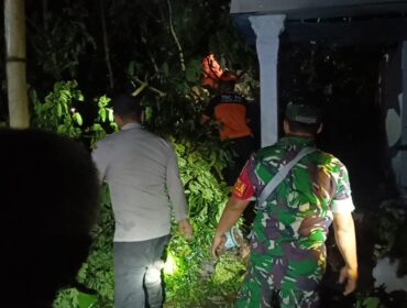 Sebuah pohon berukuran besar tumbang dan menimpa rumah warga di Dusun Kotokan, Desa Jatiroto, Kecamatan Jatiroto, Kabupaten Lumajang.