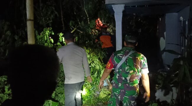 Sebuah pohon berukuran besar tumbang dan menimpa rumah warga di Dusun Kotokan, Desa Jatiroto, Kecamatan Jatiroto, Kabupaten Lumajang.