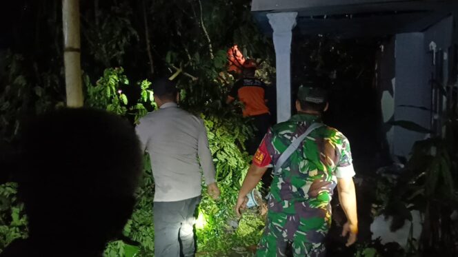
					Sebuah pohon berukuran besar tumbang dan menimpa rumah warga di Dusun Kotokan, Desa Jatiroto, Kecamatan Jatiroto, Kabupaten Lumajang.