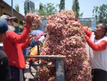 STABIL: Para pekerja saat menimbang bawang merah di Pasar Bawang Dringu, Kabupaten Probolinggo. (foto: Hafiz Rozani)