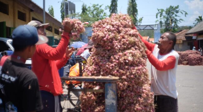 STABIL: Para pekerja saat menimbang bawang merah di Pasar Bawang Dringu, Kabupaten Probolinggo. (foto: Hafiz Rozani)