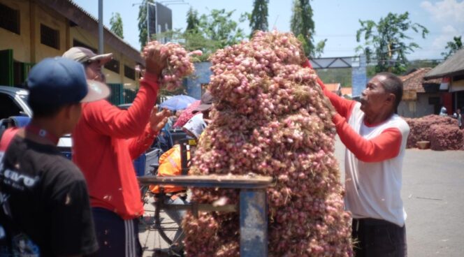
					STABIL: Para pekerja saat menimbang bawang merah di Pasar Bawang Dringu, Kabupaten Probolinggo. (foto: Hafiz Rozani)
