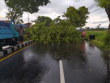 Hujan deras disertai angin kencang yang melanda wilayah Kabupaten Lumajang, Jawa Timur, pada Minggu (12/10/25) sore.