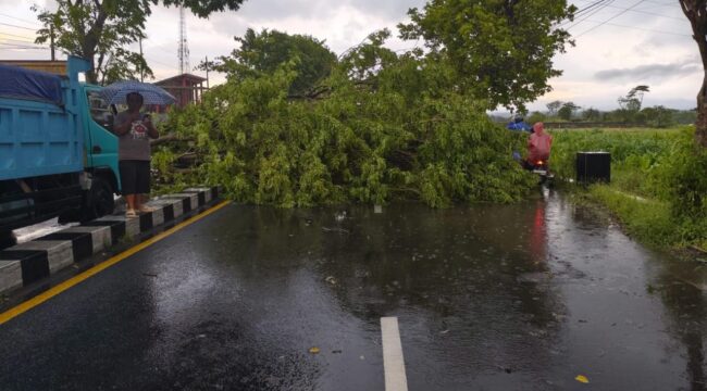 Hujan deras disertai angin kencang yang melanda wilayah Kabupaten Lumajang, Jawa Timur, pada Minggu (12/10/25) sore.
